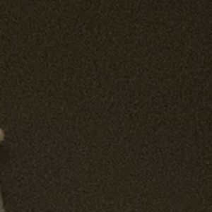 Meet your Posher, Mira